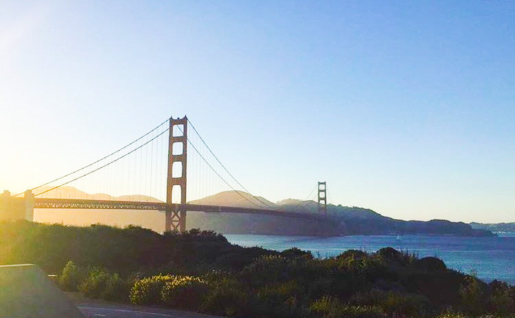 Travel Guide: The Ultimate 7 Days in San Francisco